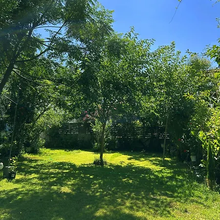 Anthonas House Apartament *