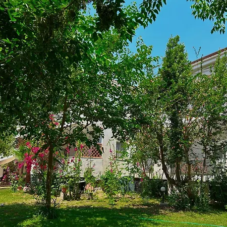 Anthonas House * Nikiti (Sithonia)