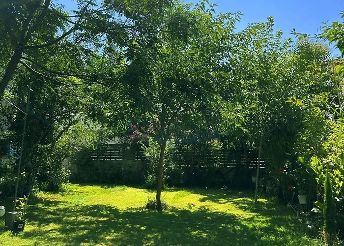 Anthonas House 아파트 *