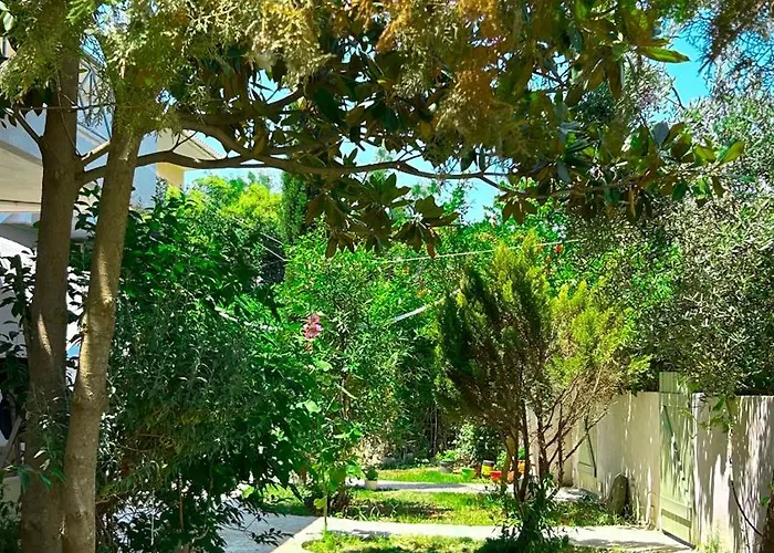 Anthonas House 니키티