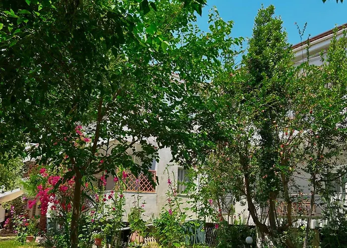 Anthonas House * 니키티