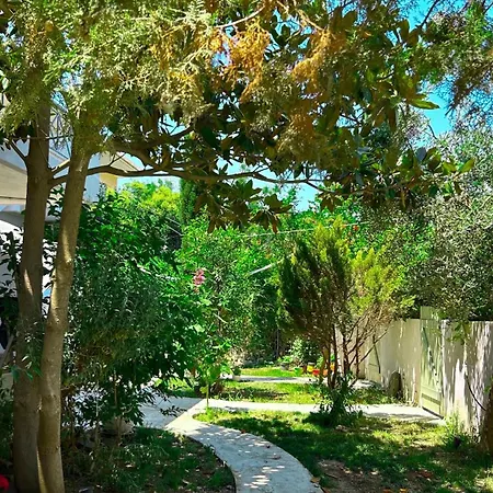 Anthonas House Nikiti (Sithonia)