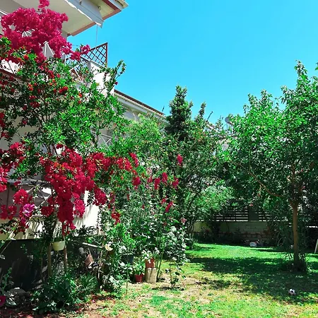 Anthonas House Apartmán